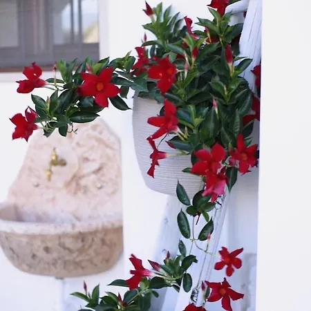 Valle D'itria Trullo Sovrano Sul Monte ヴィラ チステルニーノ