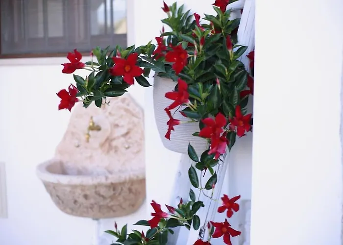 Valle D'itria Trullo Sovrano Sul Monte Villa Cisternino